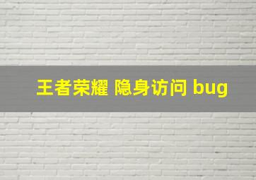 王者荣耀 隐身访问 bug